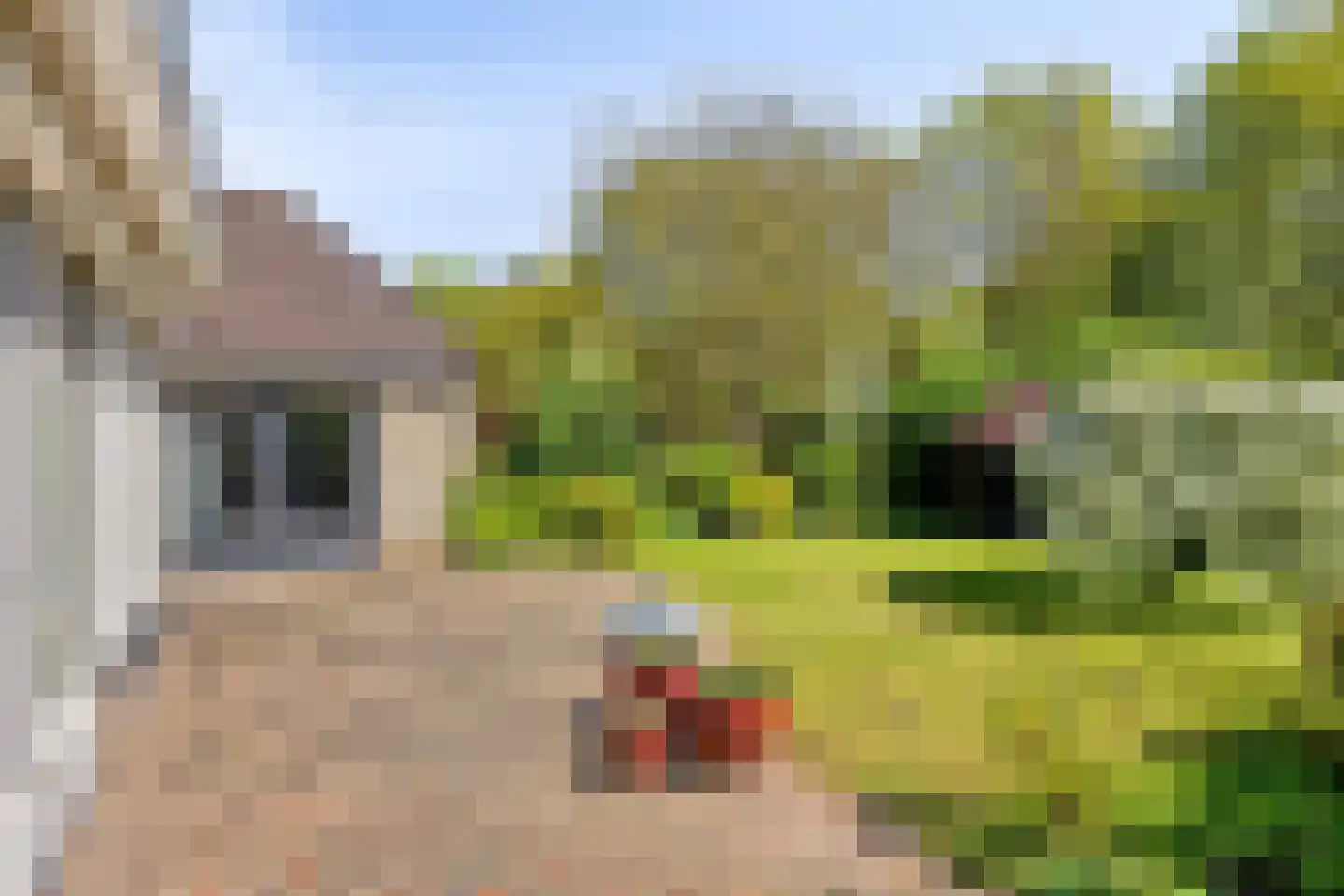 Rietven 327 Veghel thumbnail 49