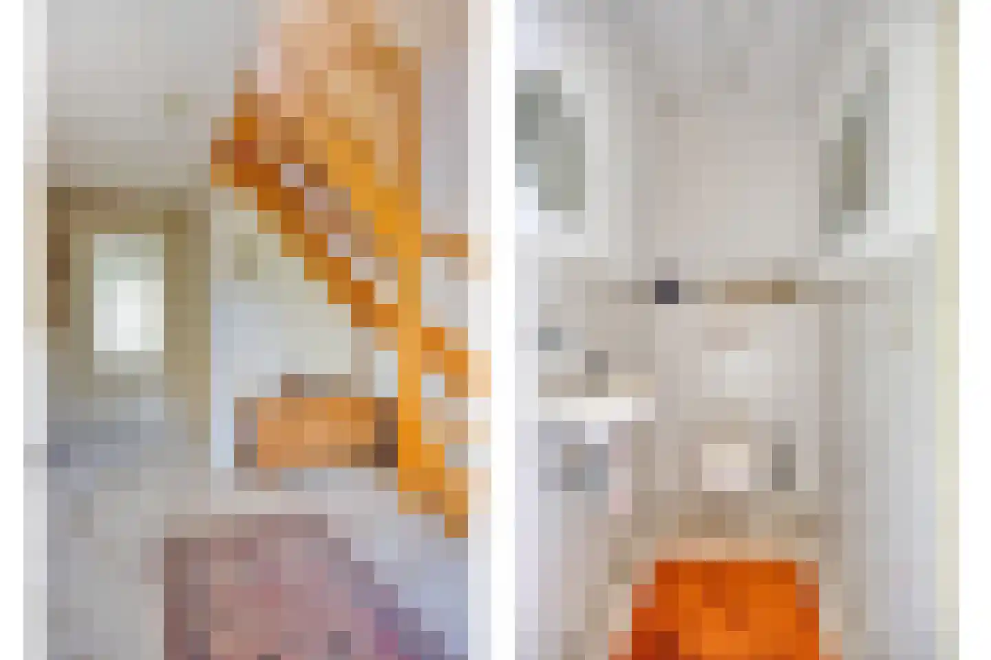 Rietven 327 Veghel thumbnail 5