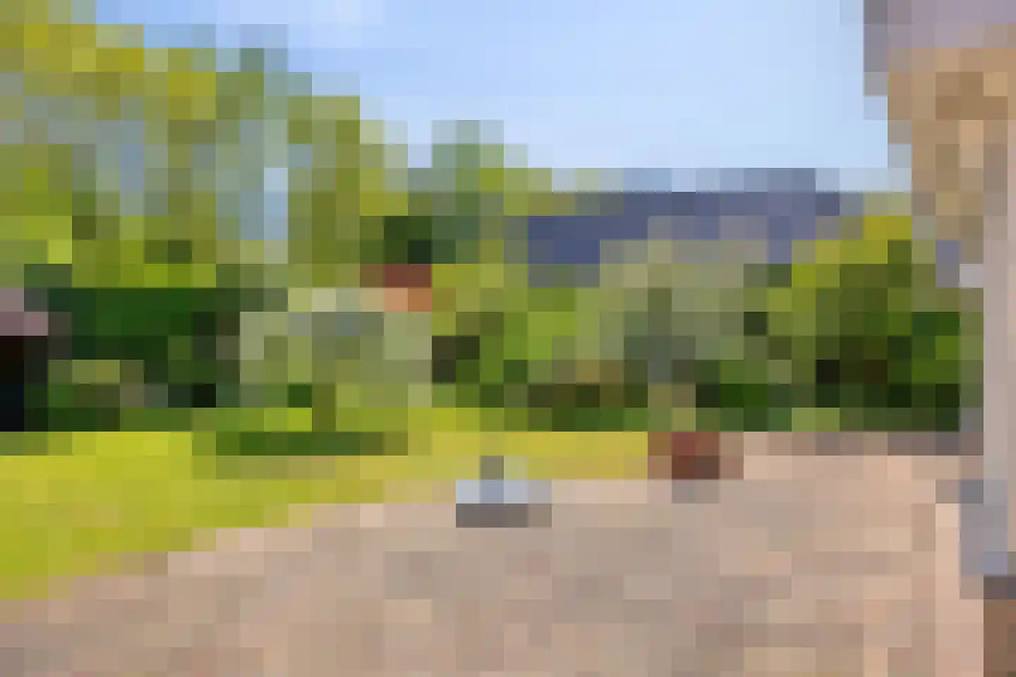 Rietven 327 Veghel thumbnail 50