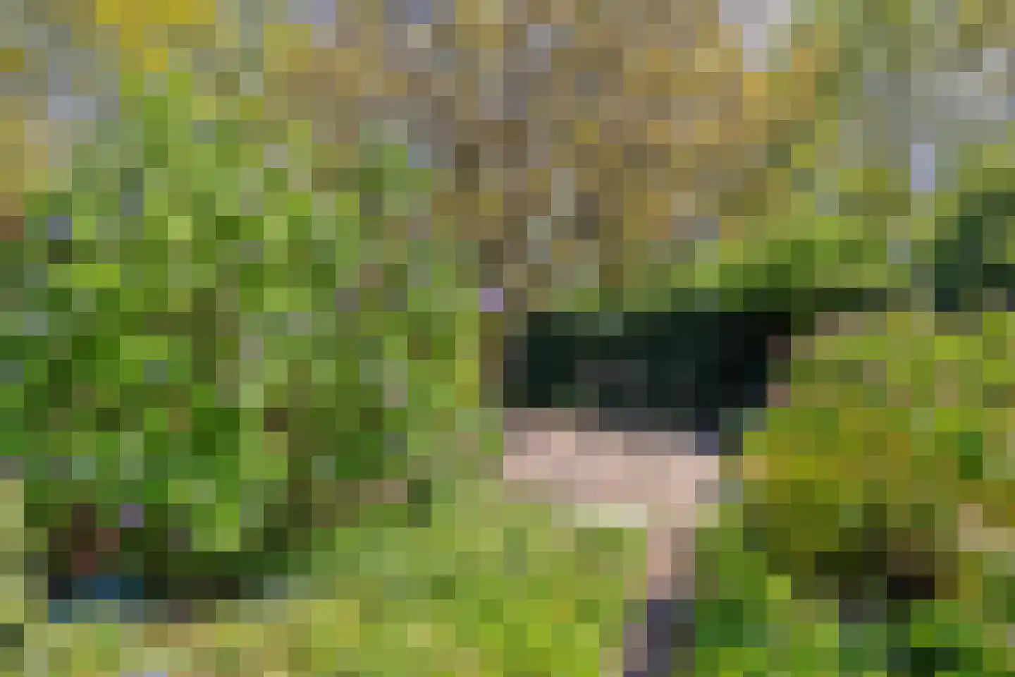 Rietven 327 Veghel thumbnail 52