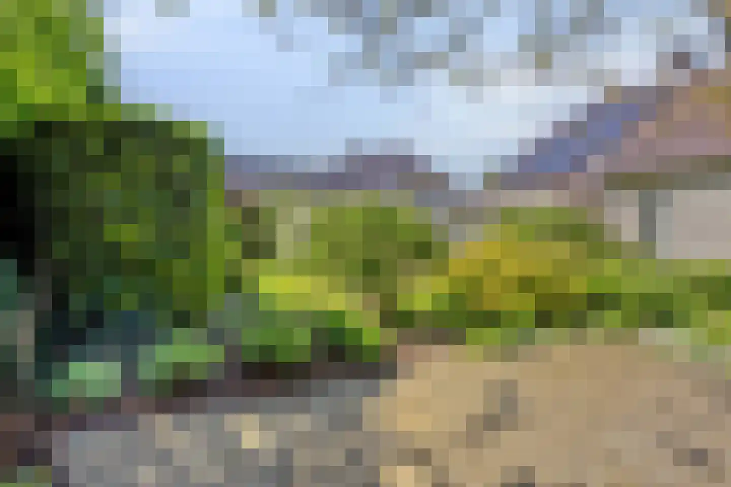 Rietven 327 Veghel thumbnail 53
