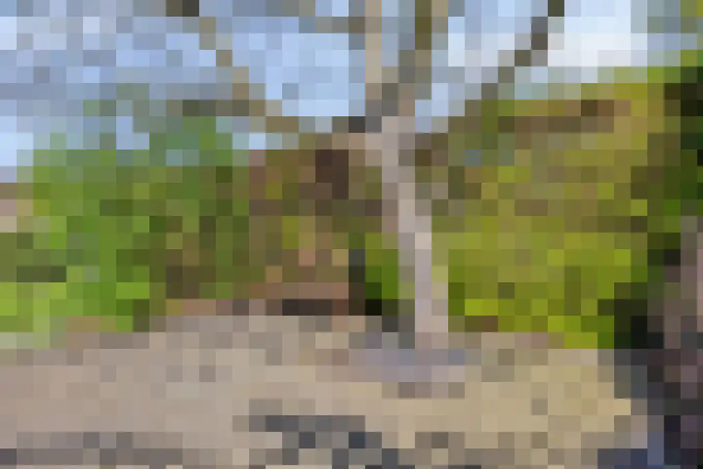 Rietven 327 Veghel thumbnail 54