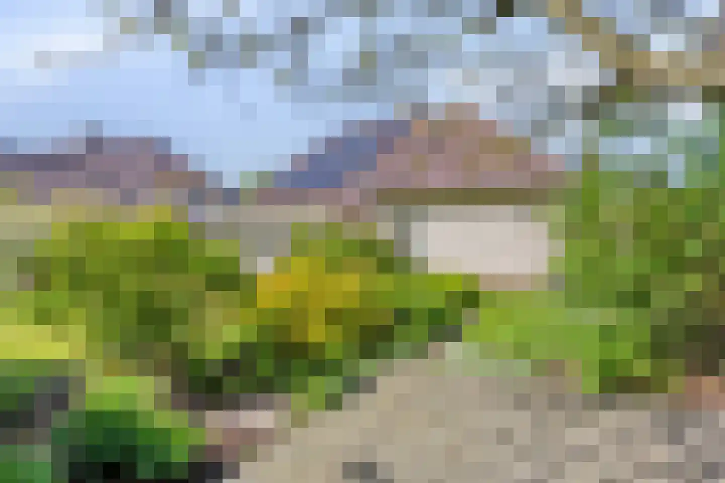Rietven 327 Veghel thumbnail 55