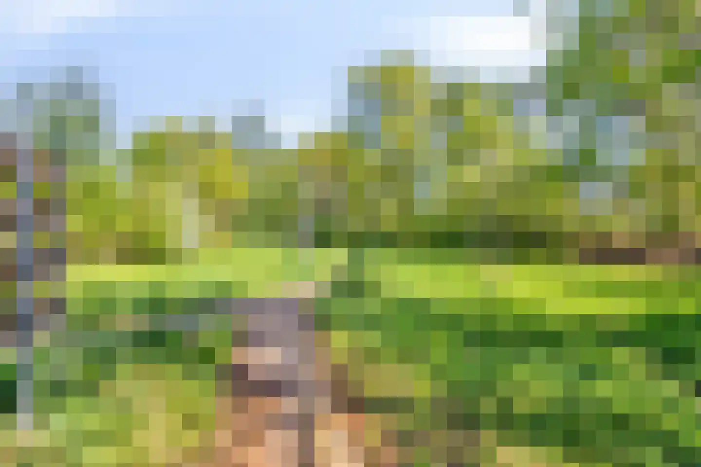 Rietven 327 Veghel thumbnail 61