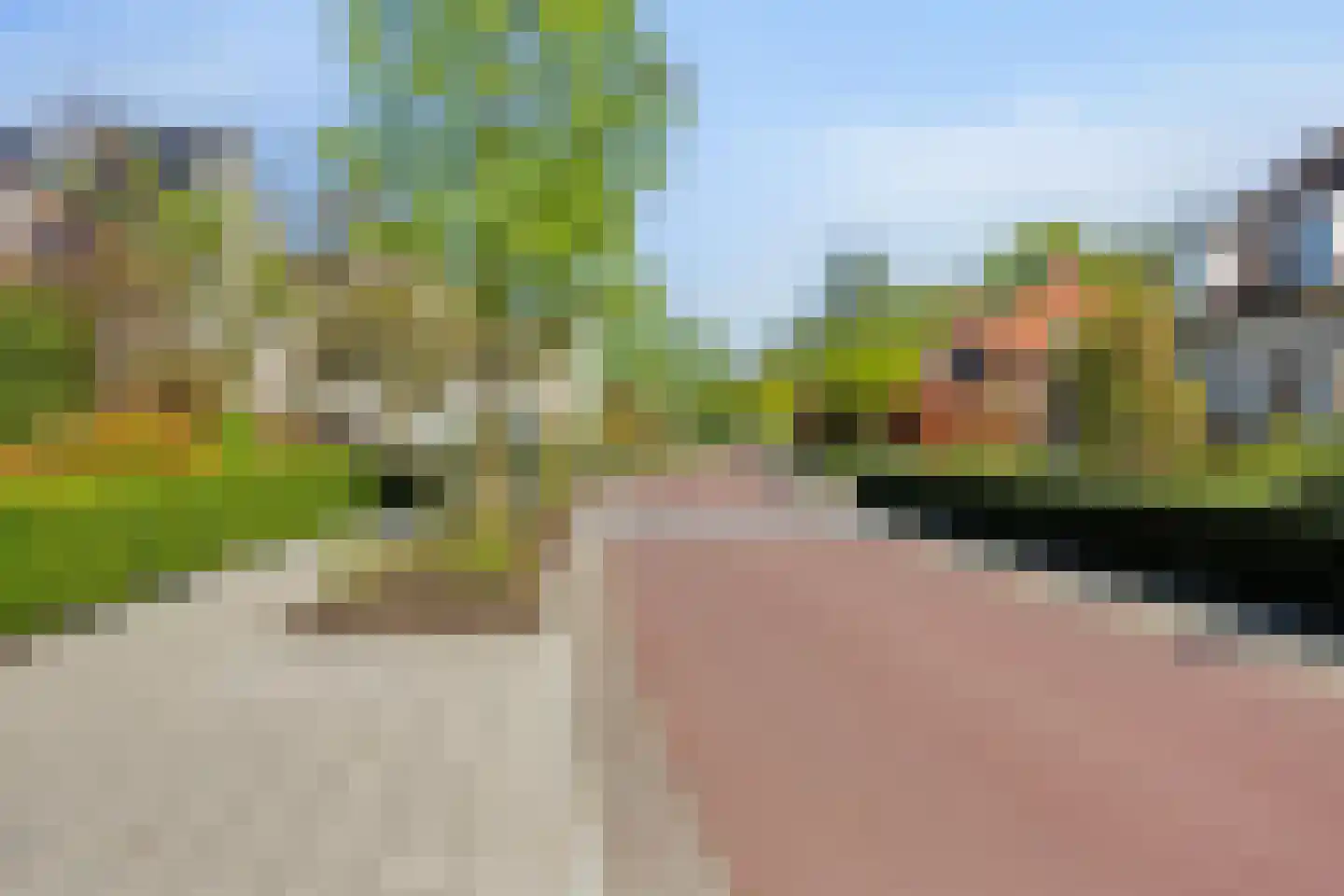 Rietven 327 Veghel thumbnail 65