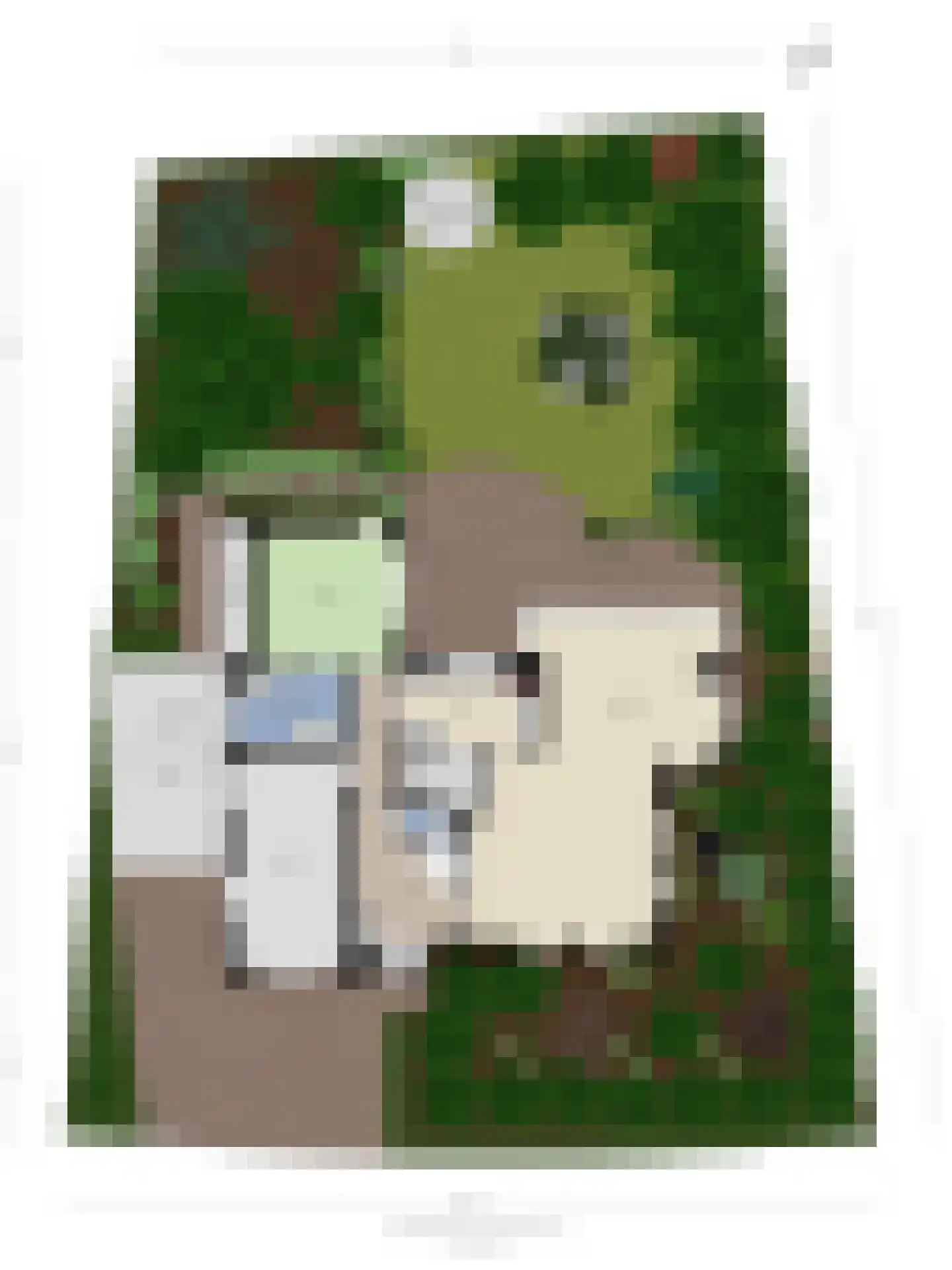 Rietven 327 Veghel thumbnail 67