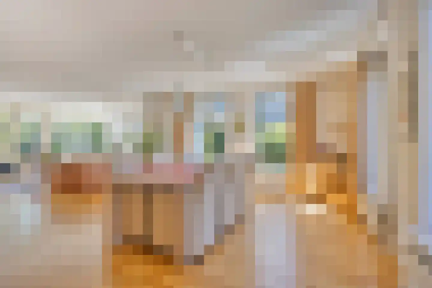 Rietven 327 Veghel thumbnail 7