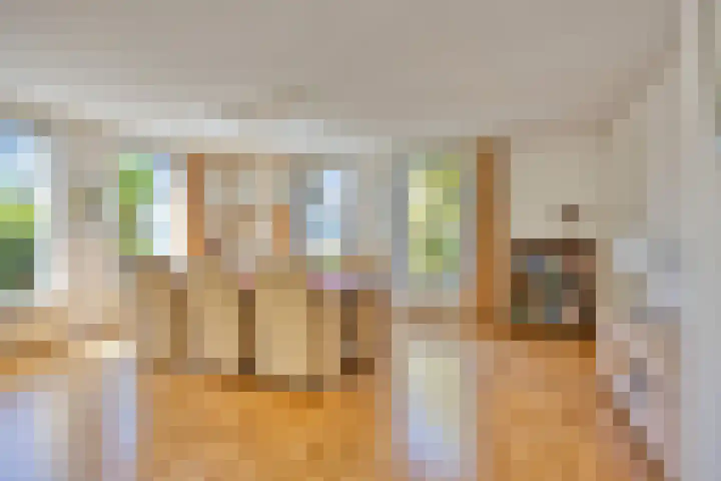 Rietven 327 Veghel thumbnail 8