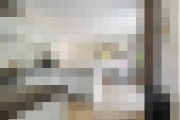 Rietven 354 Veghel thumbnail 10