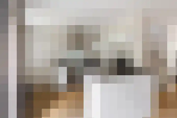 Rietven 354 Veghel thumbnail 11