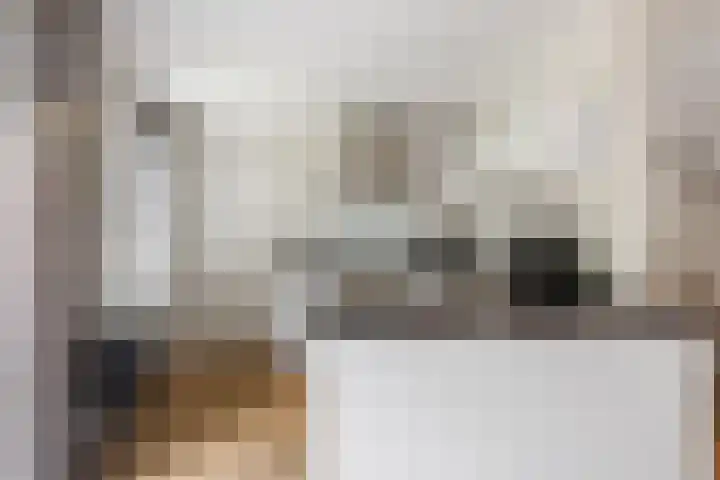 Rietven 354 Veghel thumbnail 12
