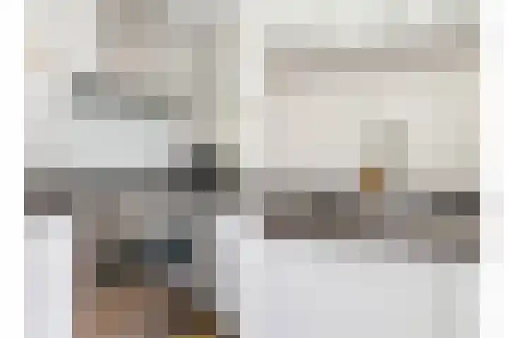 Rietven 354 Veghel thumbnail 13