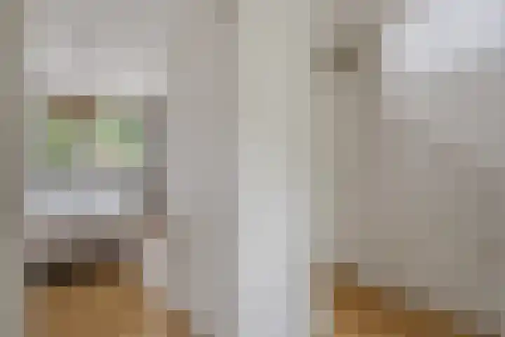 Rietven 354 Veghel thumbnail 15