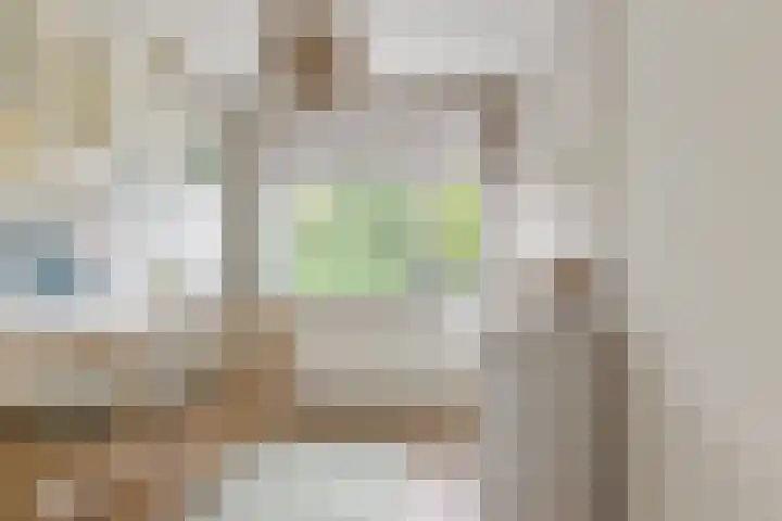 Rietven 354 Veghel thumbnail 18