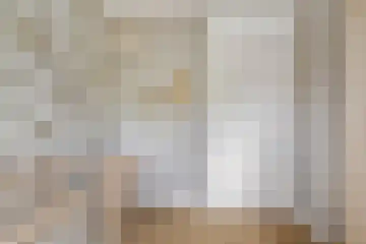Rietven 354 Veghel thumbnail 21