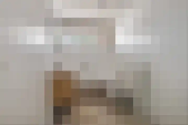 Rietven 354 Veghel thumbnail 22