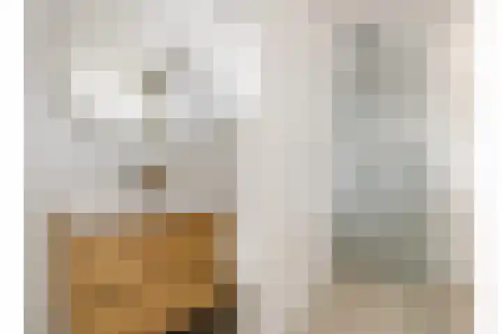 Rietven 354 Veghel thumbnail 23
