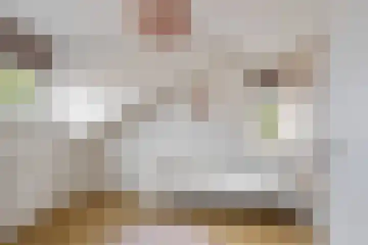 Rietven 354 Veghel thumbnail 27