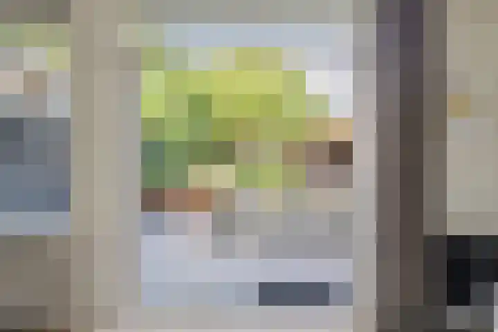 Rietven 354 Veghel thumbnail 29