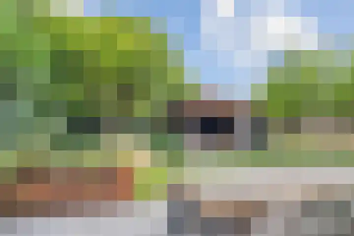 Rietven 354 Veghel thumbnail 30