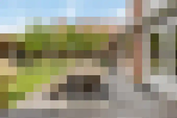 Rietven 354 Veghel thumbnail 31