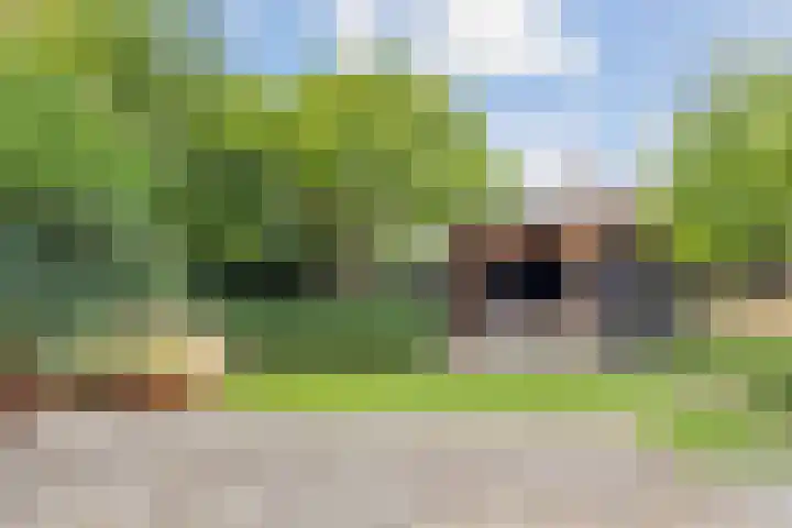 Rietven 354 Veghel thumbnail 32