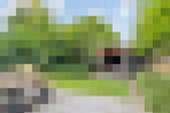 Rietven 354 Veghel thumbnail 33