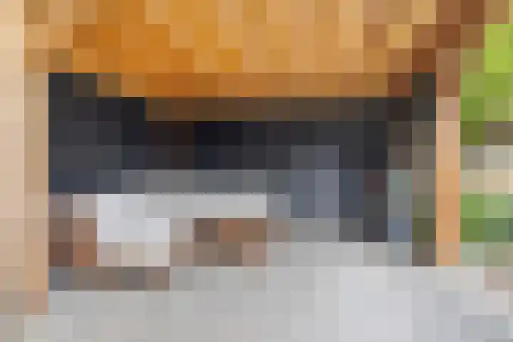 Rietven 354 Veghel thumbnail 35