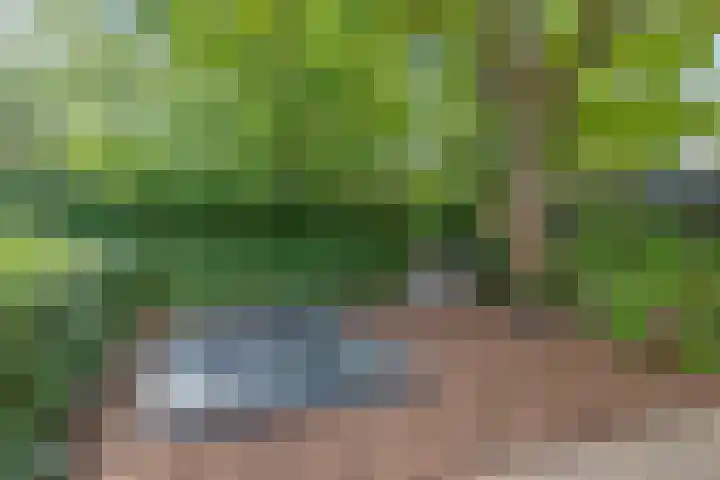 Rietven 354 Veghel thumbnail 36