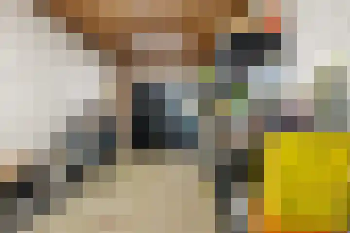 Rietven 354 Veghel thumbnail 37