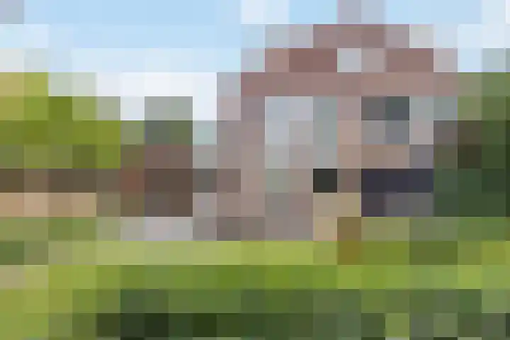 Rietven 354 Veghel thumbnail 38