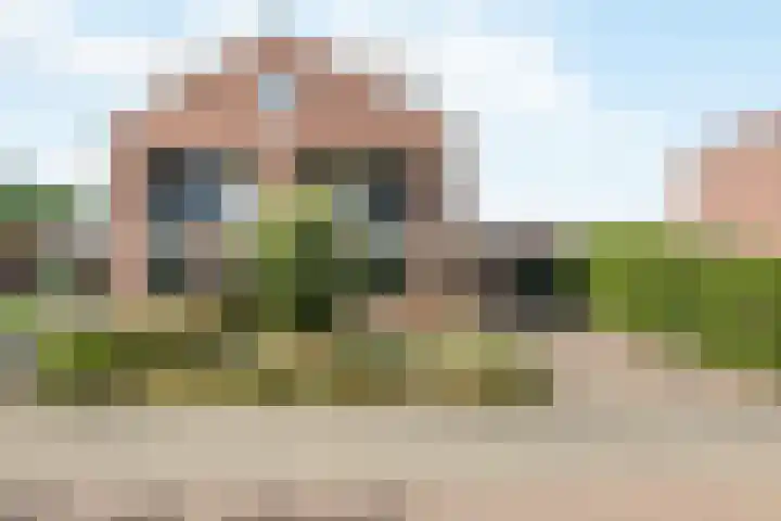 Rietven 354 Veghel thumbnail 39