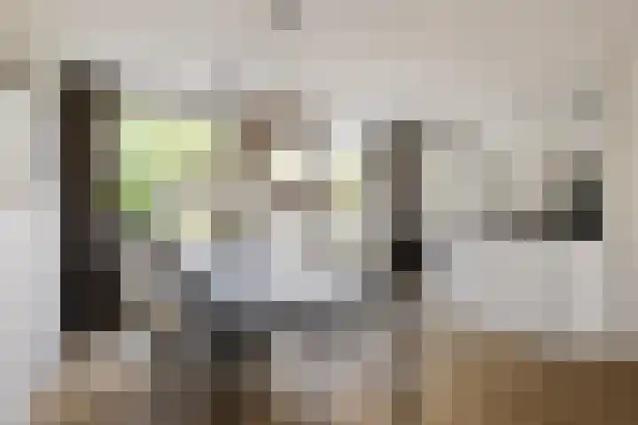 Rietven 354 Veghel thumbnail 4