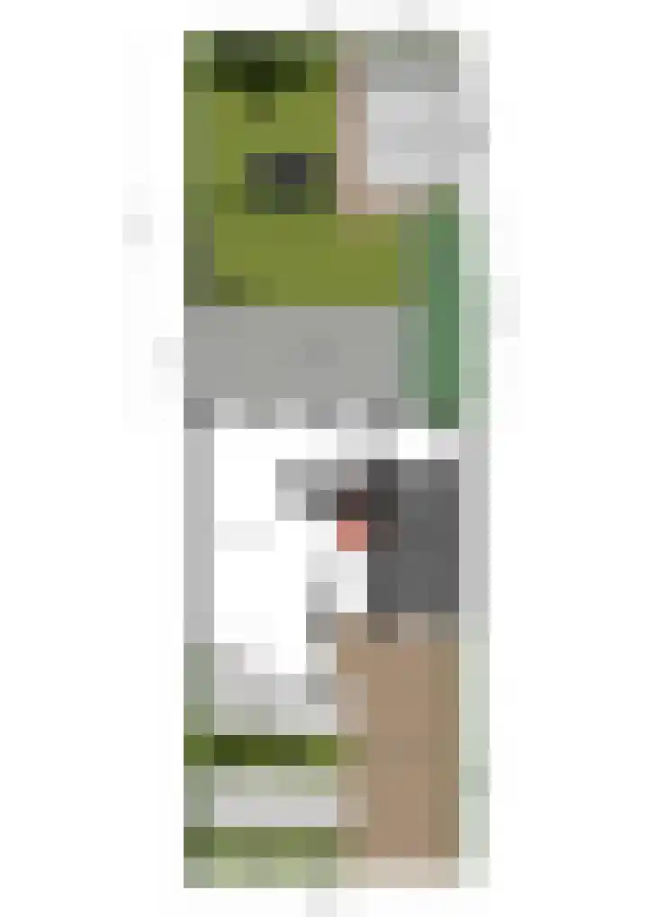 Rietven 354 Veghel thumbnail 40