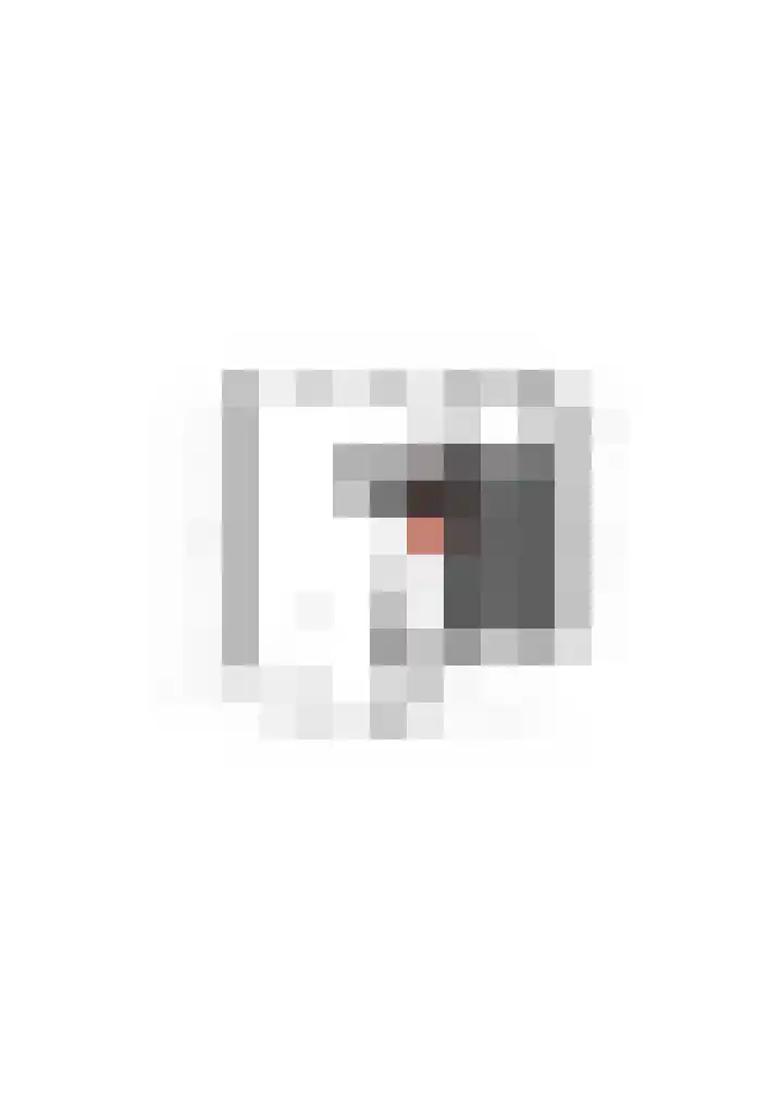 Rietven 354 Veghel thumbnail 41