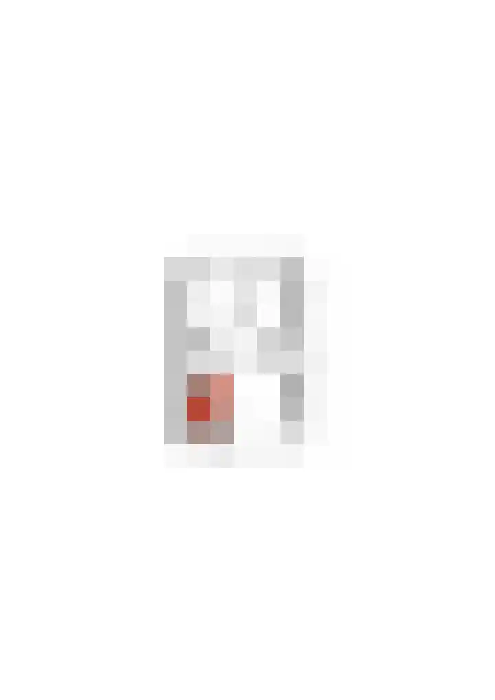 Rietven 354 Veghel thumbnail 42