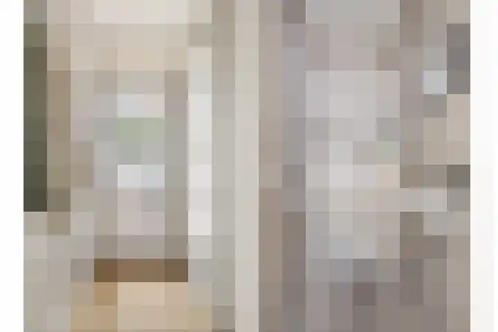 Rietven 354 Veghel thumbnail 5