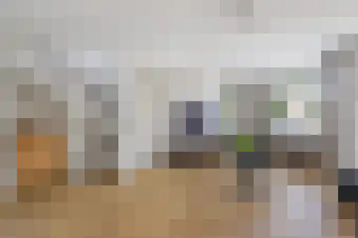 Rietven 354 Veghel thumbnail 7