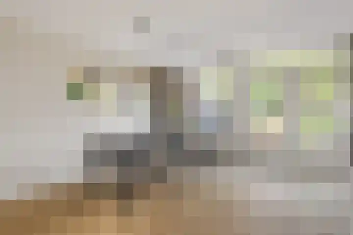 Rietven 354 Veghel thumbnail 8