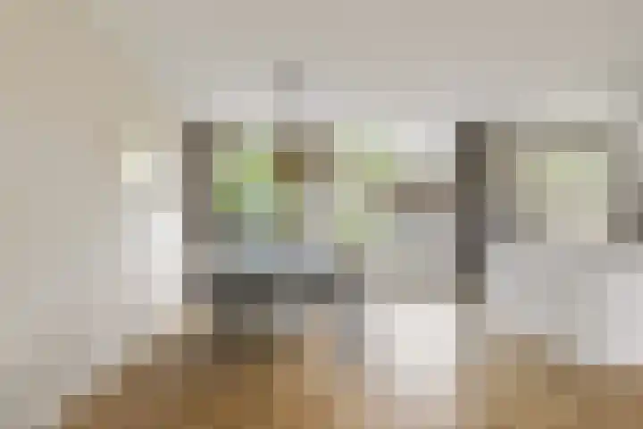 Rietven 354 Veghel thumbnail 9