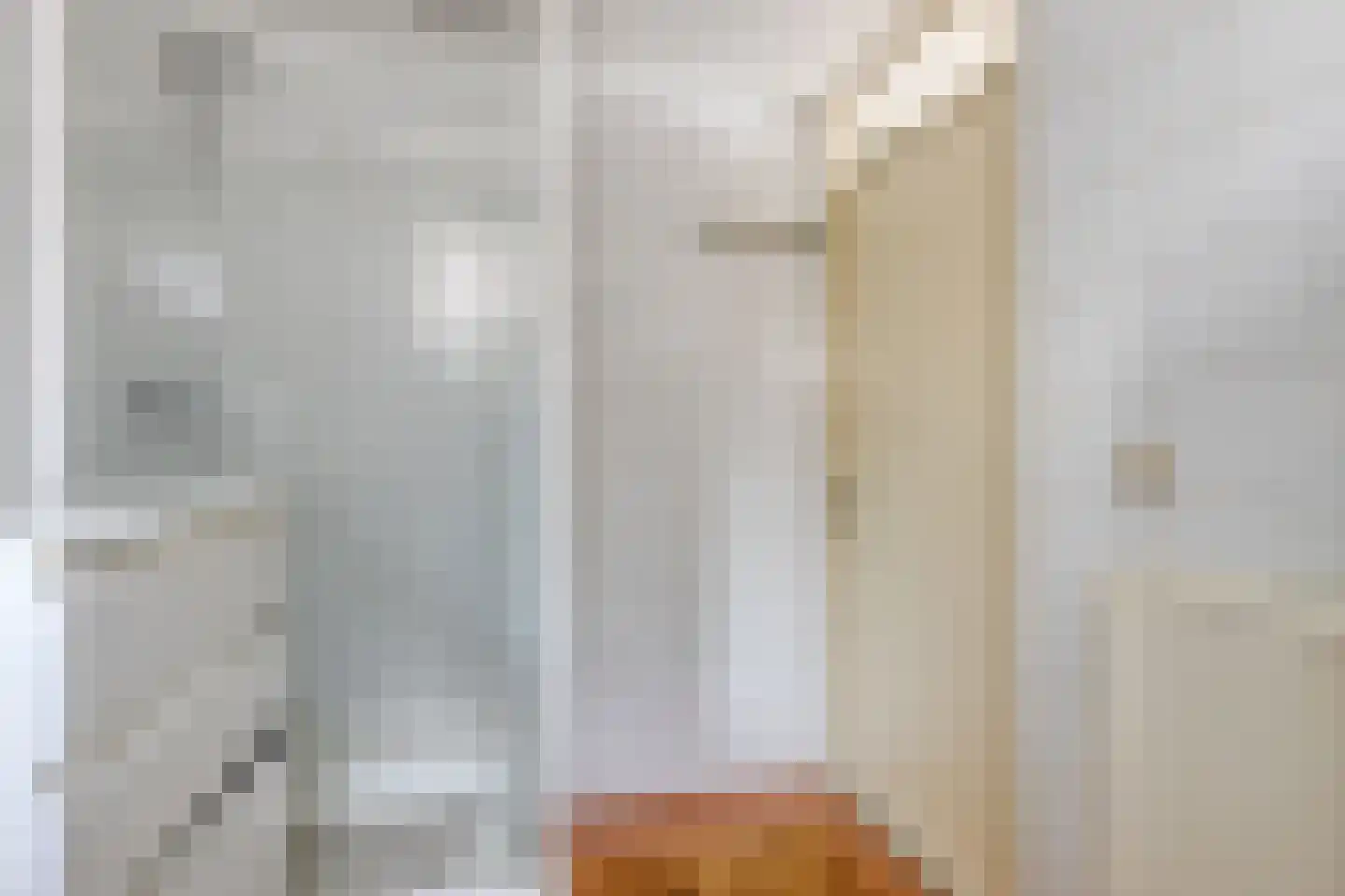 Rietven 356 Veghel thumbnail 15