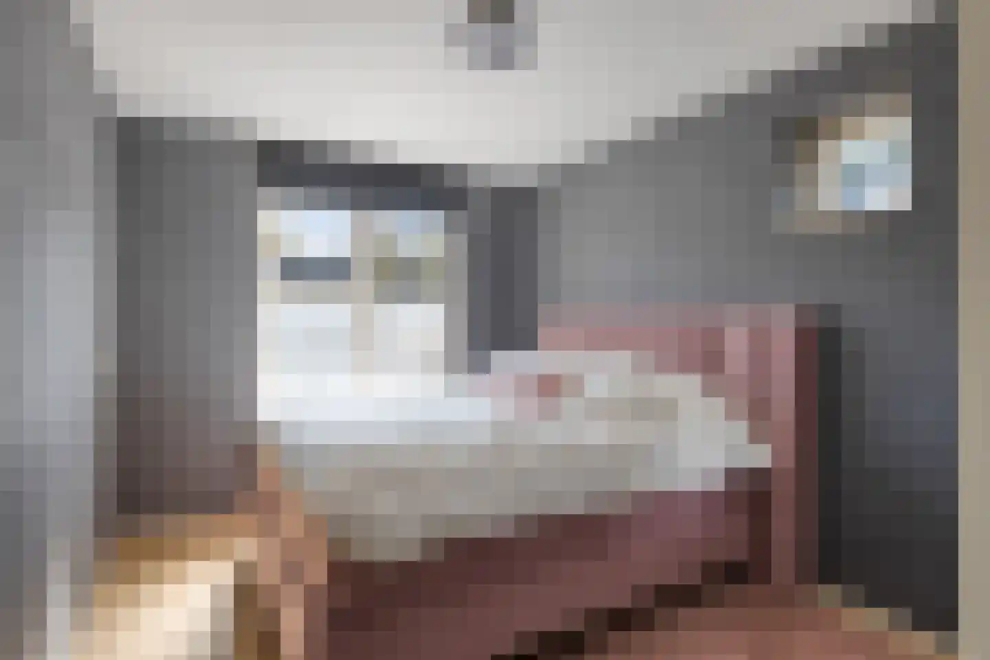 Rietven 356 Veghel thumbnail 16