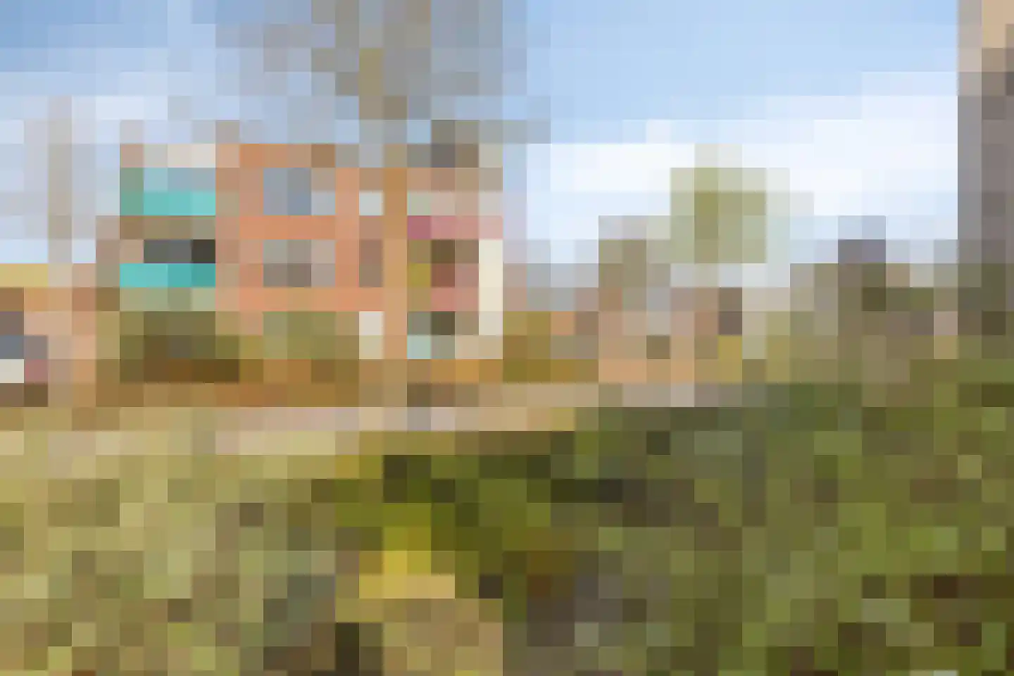 Rietven 356 Veghel thumbnail 25