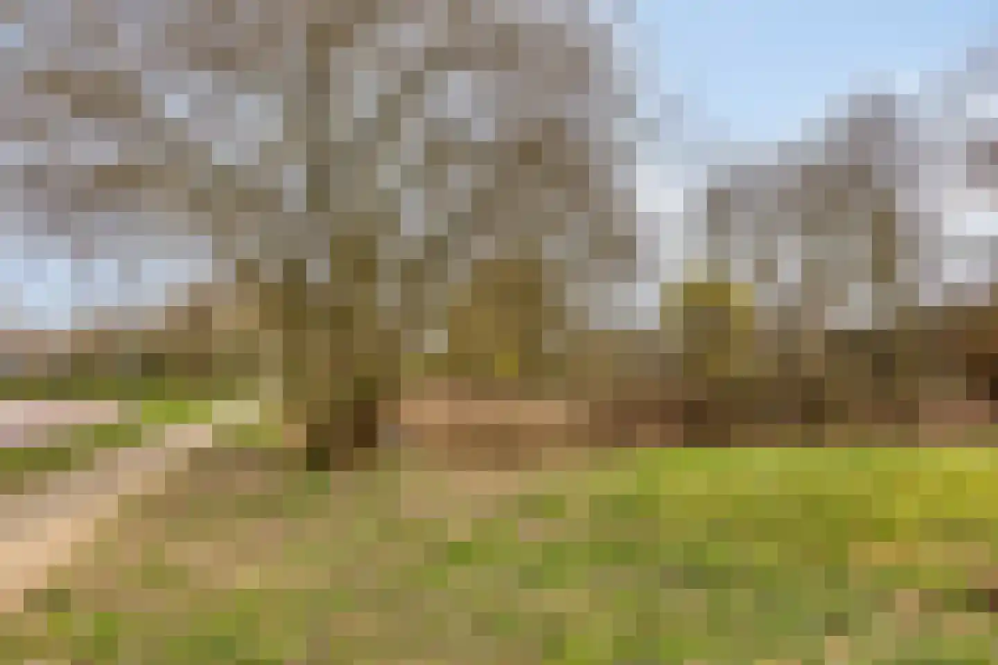 Rietven 356 Veghel thumbnail 26