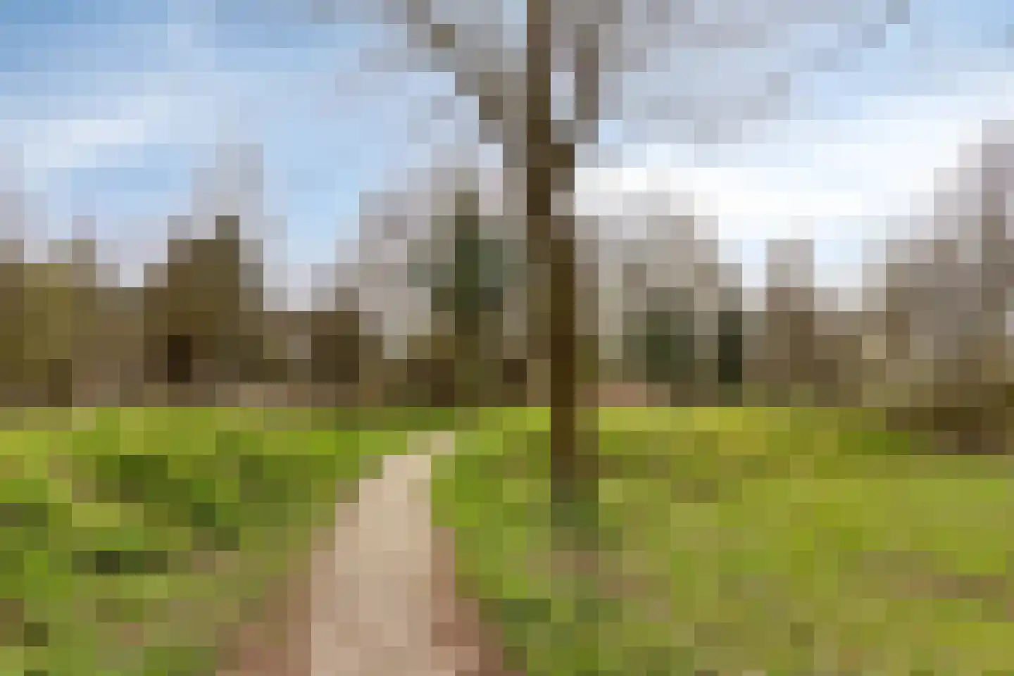 Rietven 356 Veghel thumbnail 27