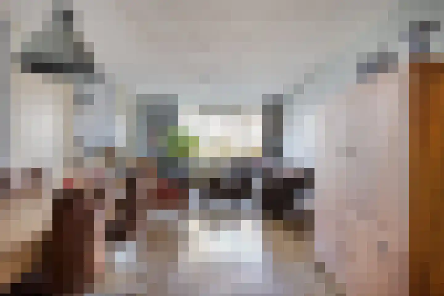 Rietven 356 Veghel thumbnail 4