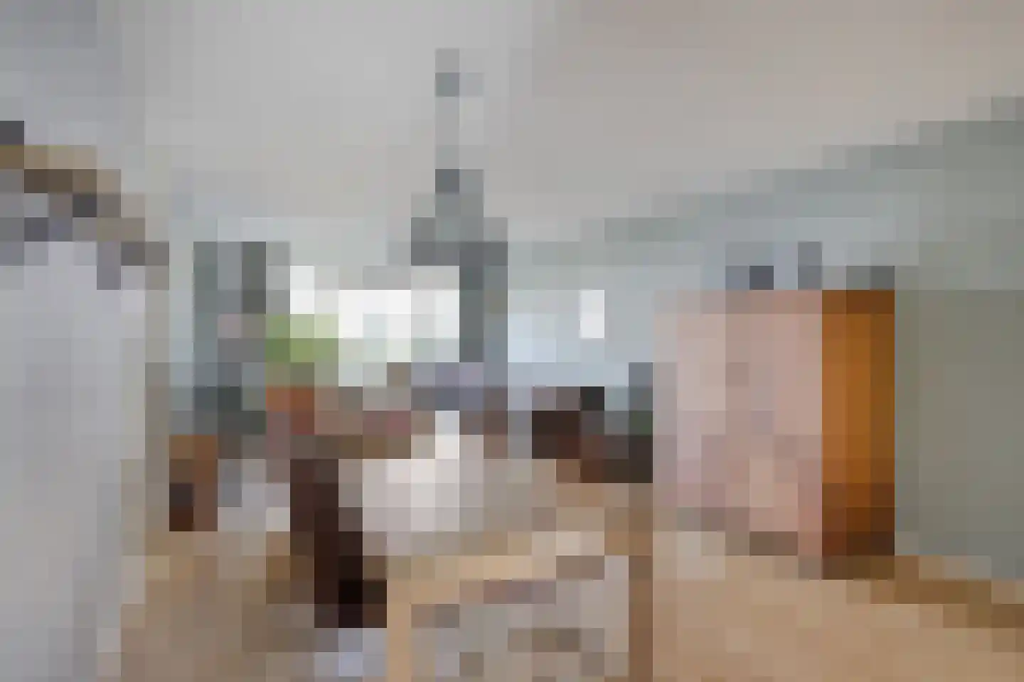Rietven 356 Veghel thumbnail 8