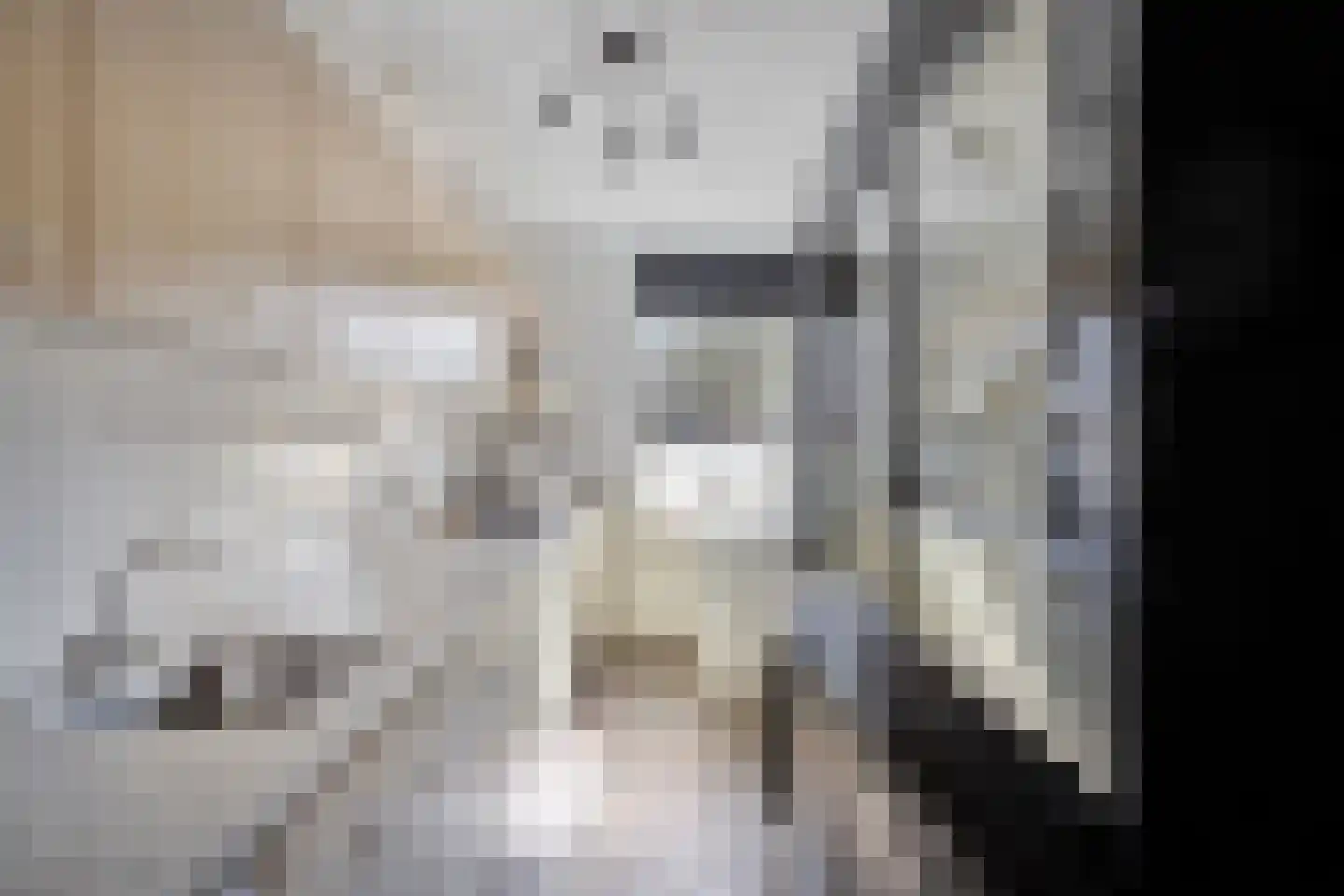 Rietven 356 Veghel thumbnail 9