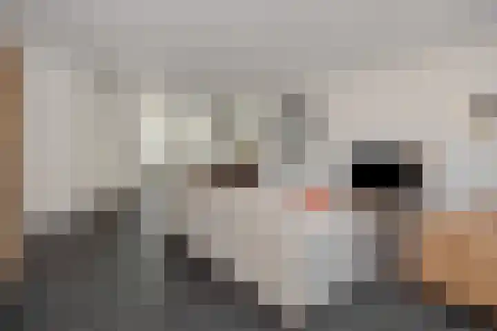 Rietven 50 Deurne thumbnail 10