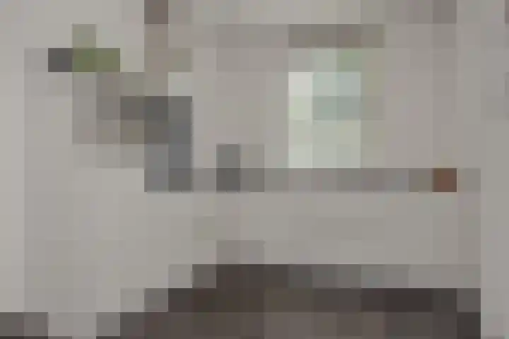 Rietven 50 Deurne thumbnail 13